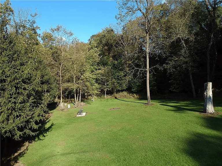 311 Browntown Rd