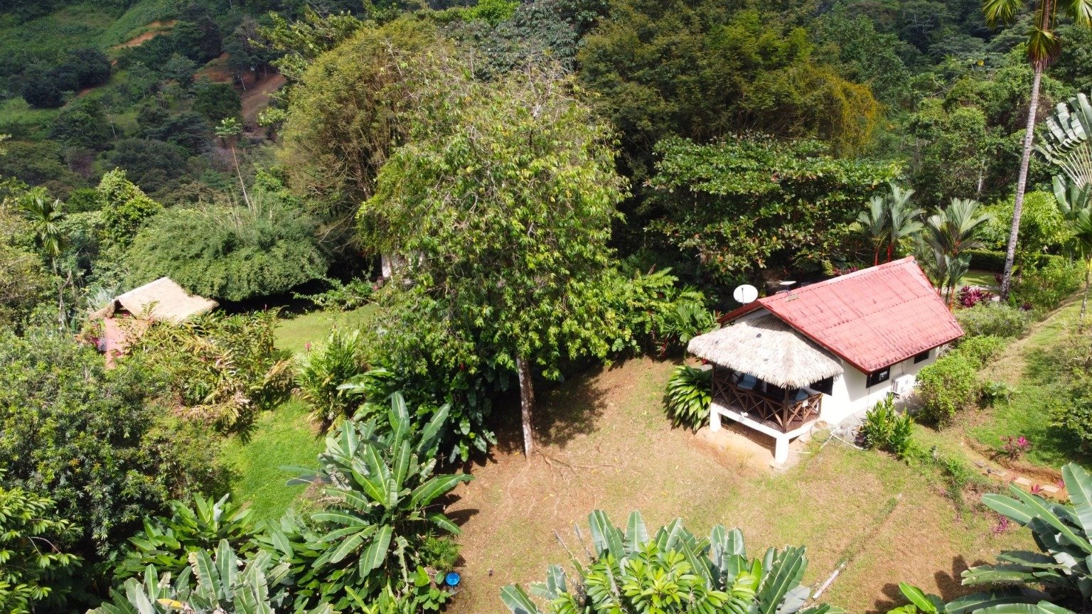 Stunning 3.5-Acre Ocean View Property in Costa Rica – Endless Possibilities Await!