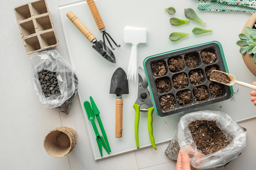 Seedling tray filled with soil surrounded by small gardening tools, pots, and succulent cuttings.