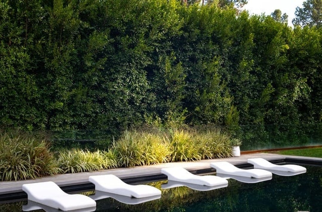 Lodge Garden
