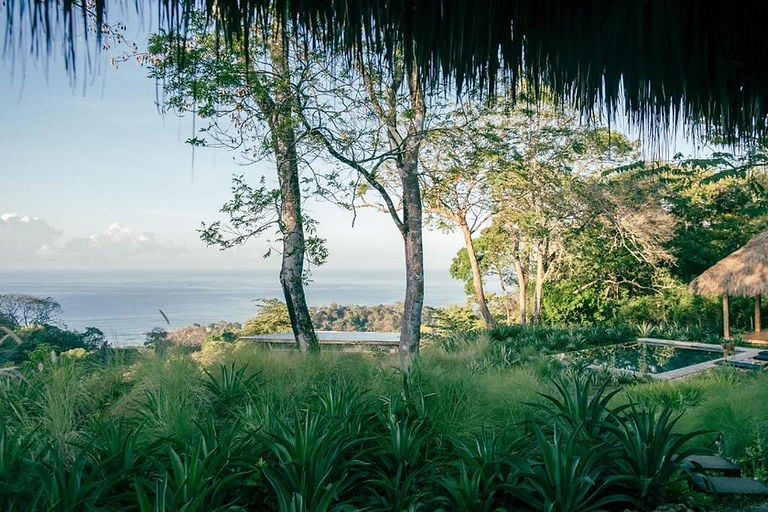 Thea Wellness Retreats