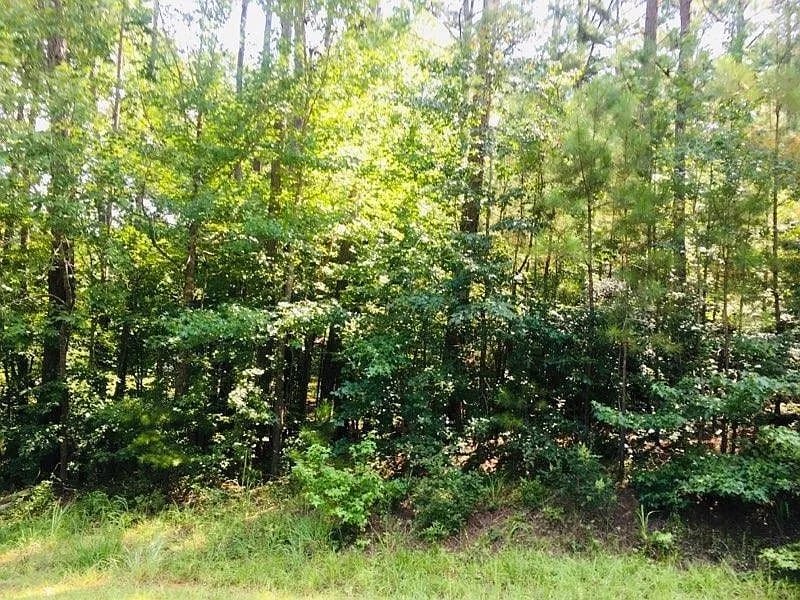 158A Little River Trl