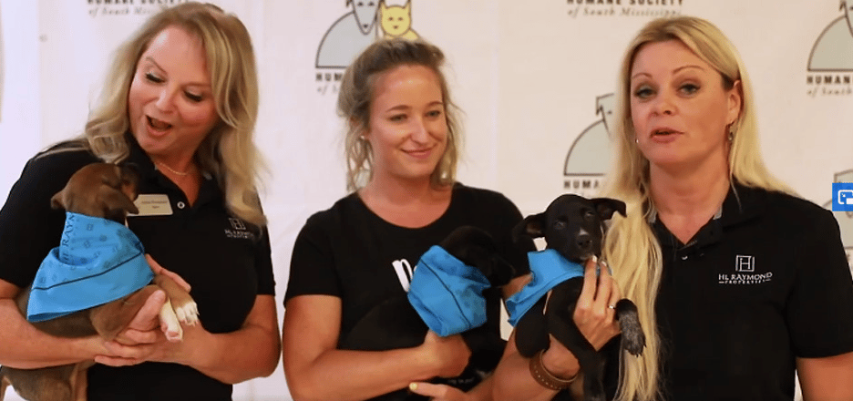 WATCH a brand new EPISODE of Pet Project