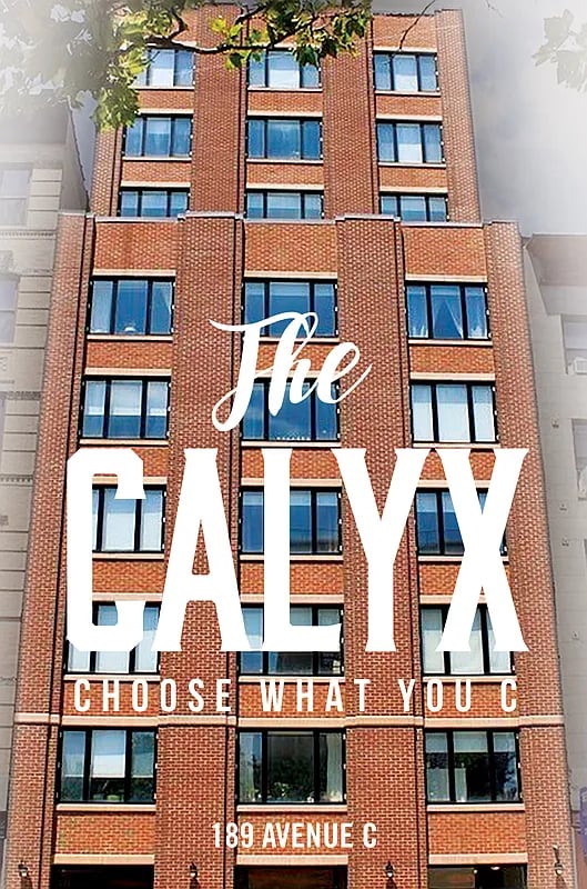 The Calyx, 189 Avenue C