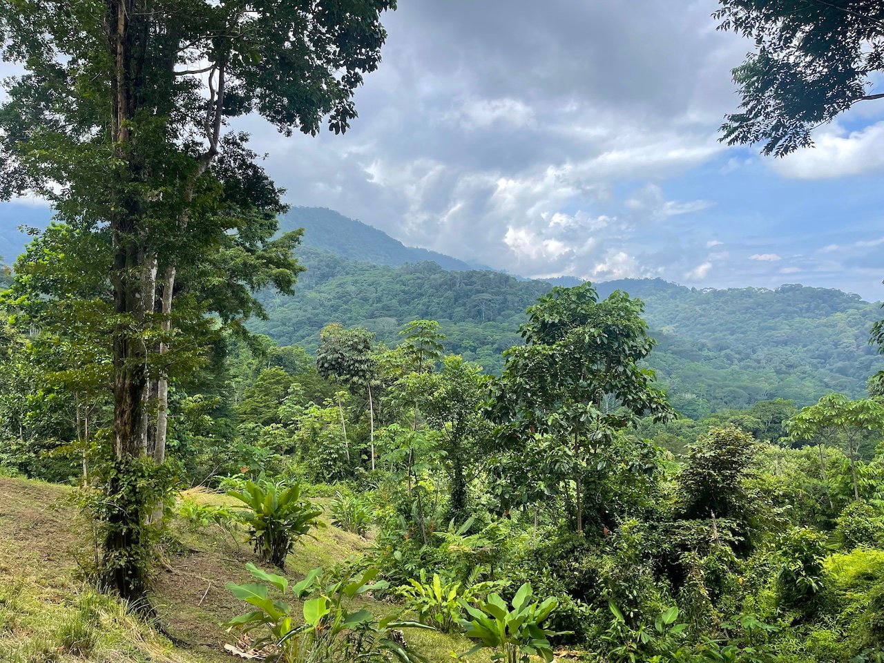 UVITA LAND WITH MULTIPLE BUILDING PADS – 25 ACRES