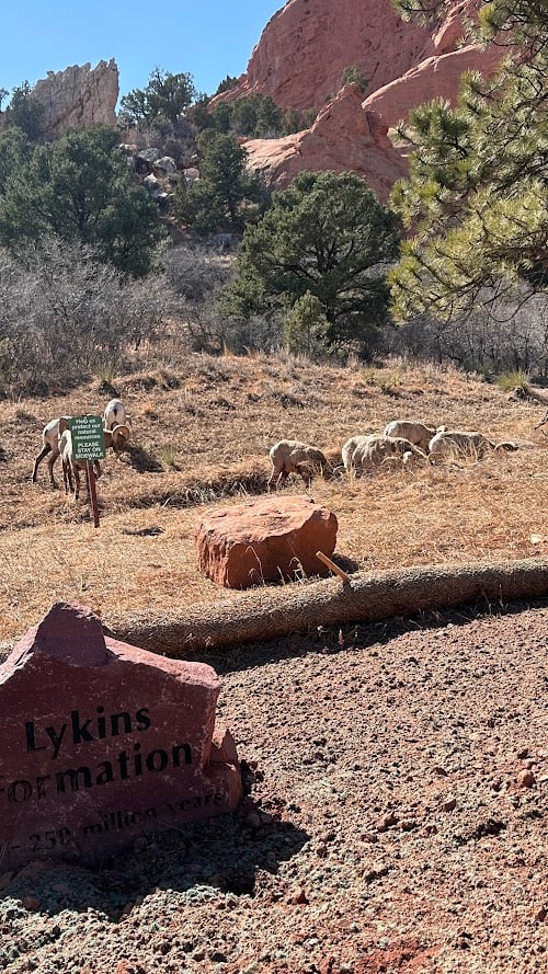 Garden of the Gods: Where Colorado Springs Comes Alive
