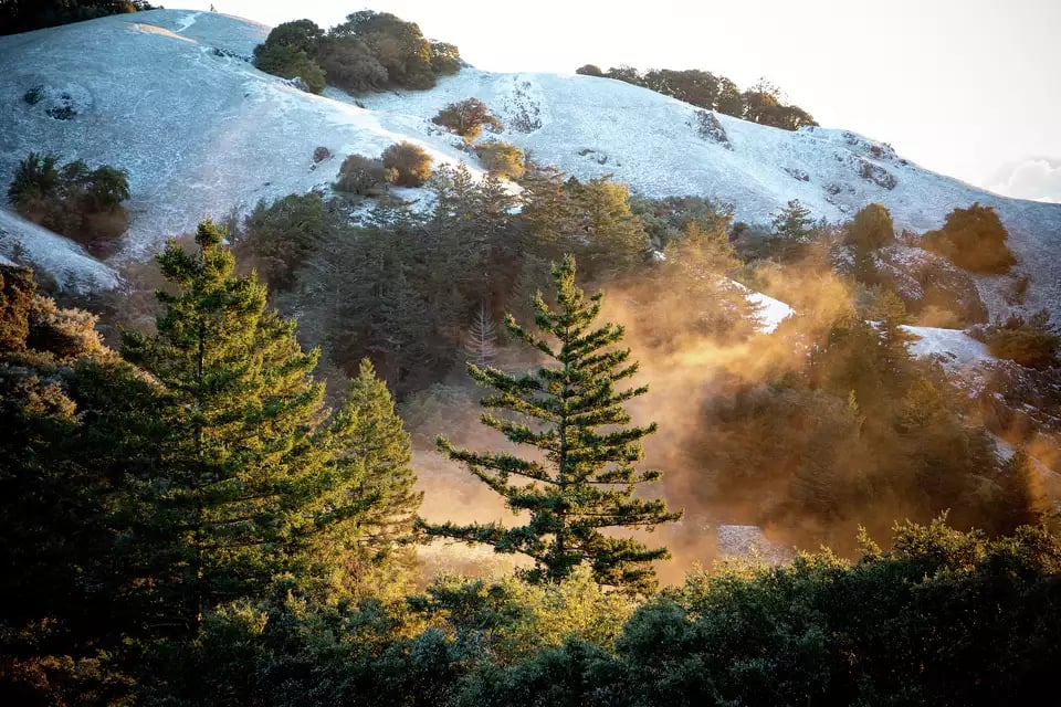 January 2026 Monthly Sales Data