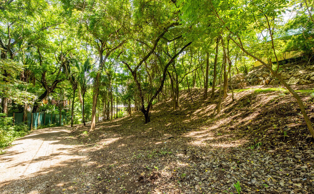 Secluded Surf Walk Building Lot, Nosara, Guanacaste