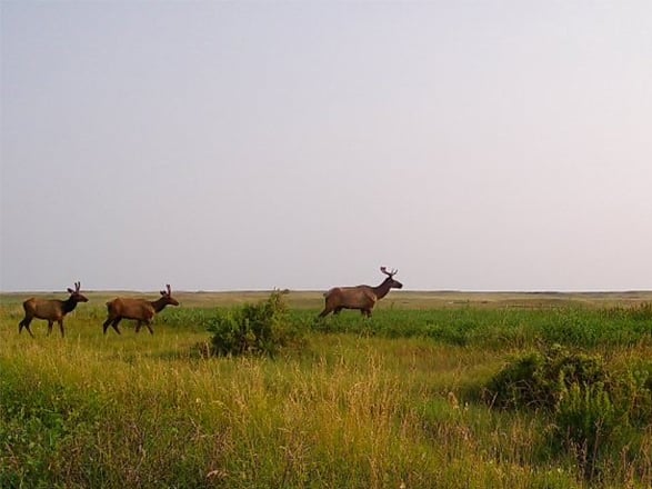 Covey Rise Ranch