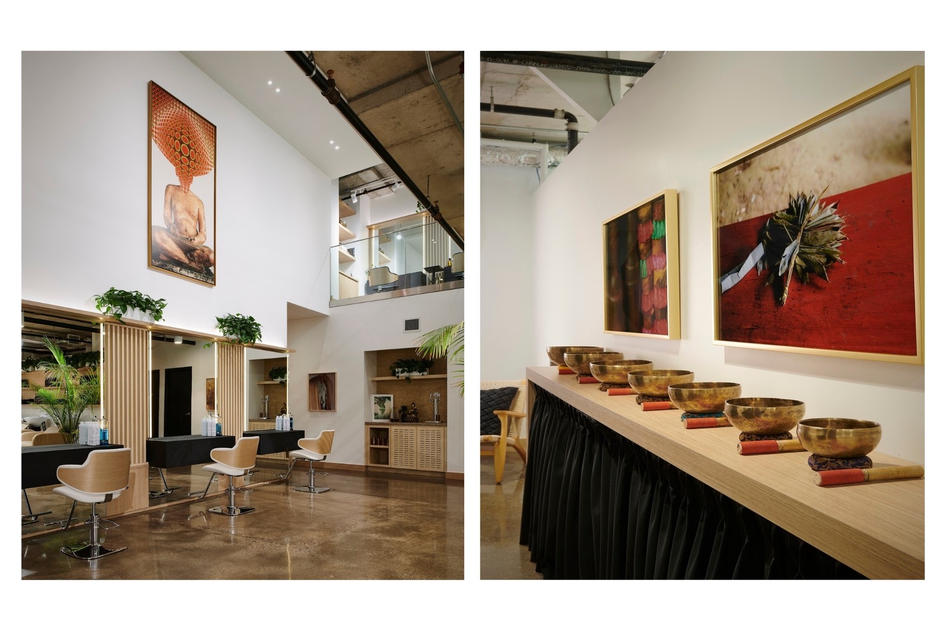 Medulla & Co. | Mr. Yorkville