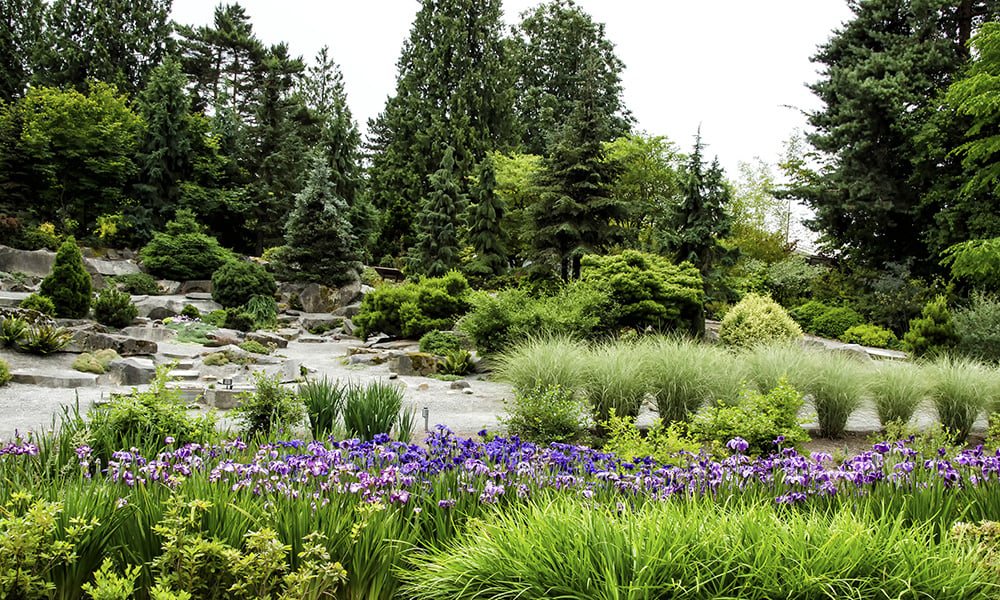 Art Blooms at Bellevue Botanical Garden