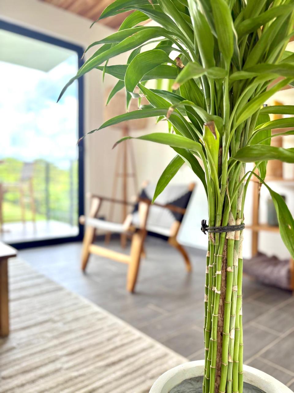 Tama Hills #2 | Modern 2-Bedroom Retreat in Tamarindo