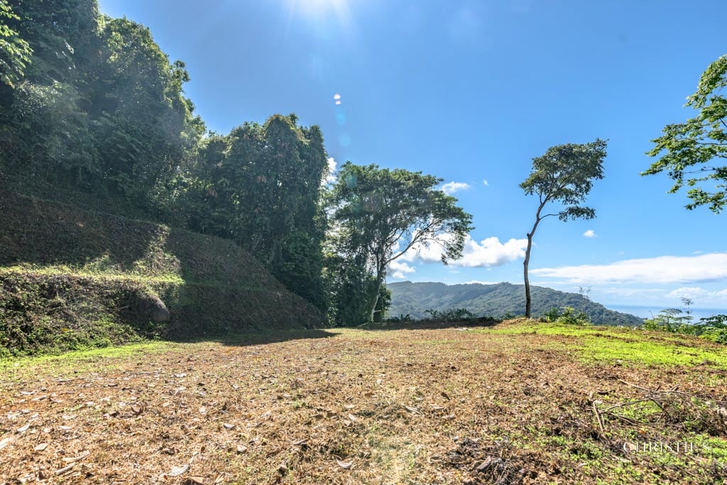 A Rare Thermal-Wellness Development Opportunity - Cacao Estates