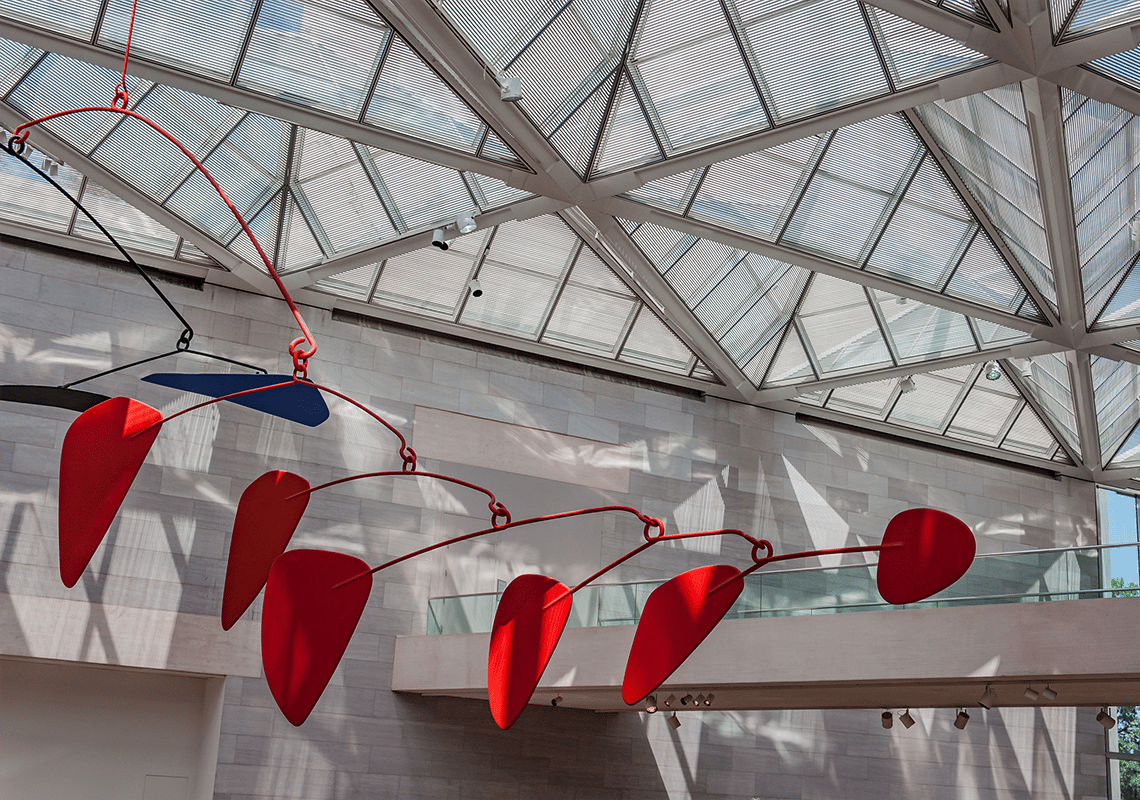 Top Things To Do in January in the DMV