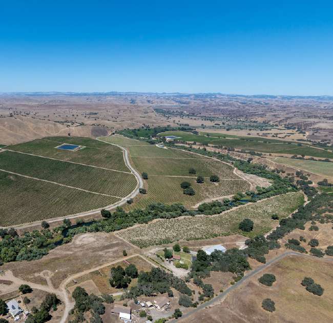 Joseph Vineyard | 76987 Nacimiento Lake Drive