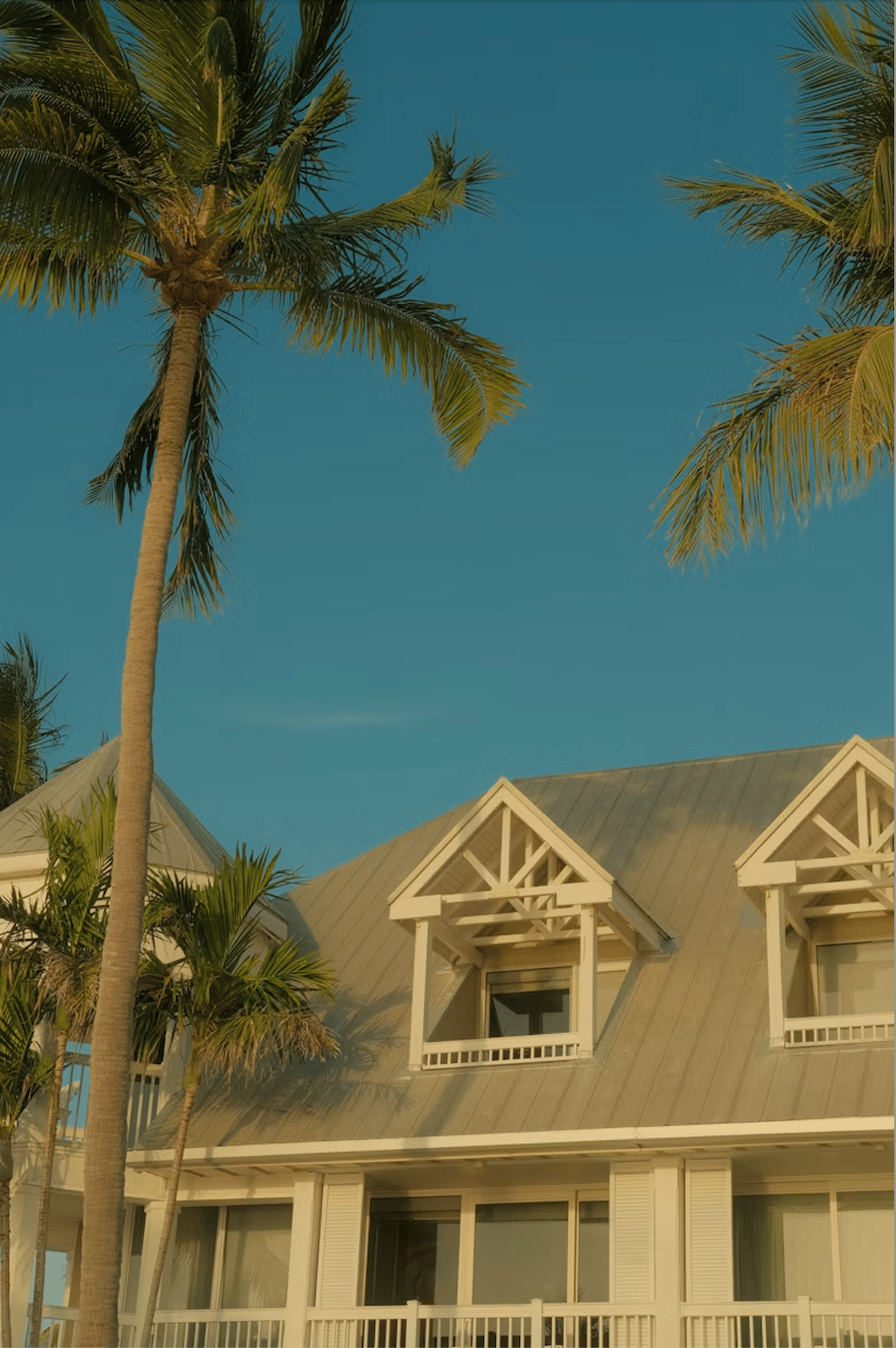 Coastal-style house with gray roof and white dormers framed by tall palms.