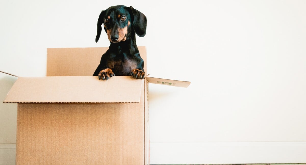 How To Downsize Without Feeling Like You’re Losing Space
