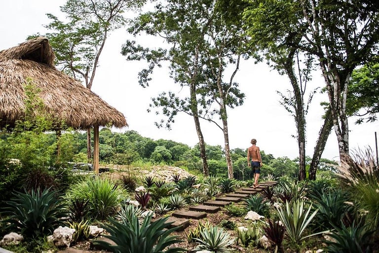 Thea Wellness Retreats