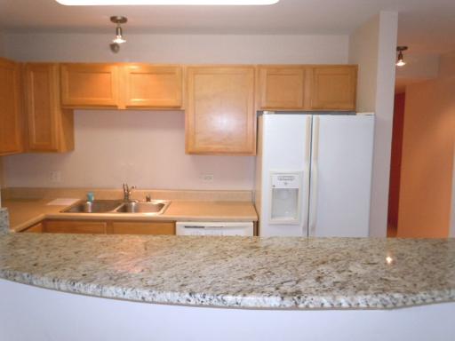 345 N LA SALLE Drive Unit: 209
