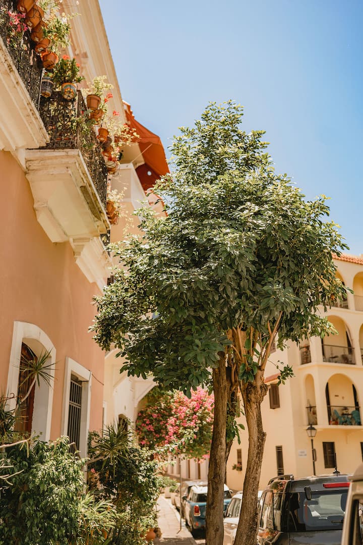 Casa Terra Porto #4 • Rooftop Access Full Kitchen - Airbnb
