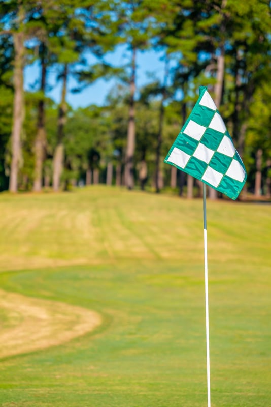 Fun Activities in Rose Hill, SC for All Ages