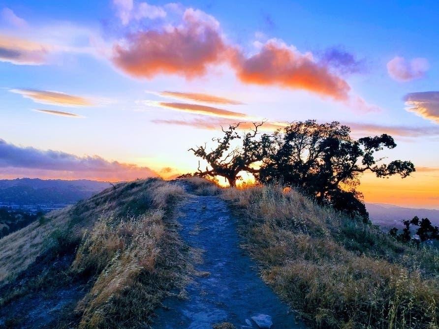 Walnut Creek Open Space: Trails, Nature & Real Estate Benefits