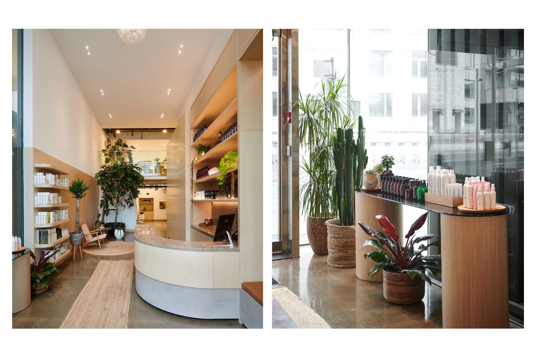 Medulla & Co. | Mr. Yorkville