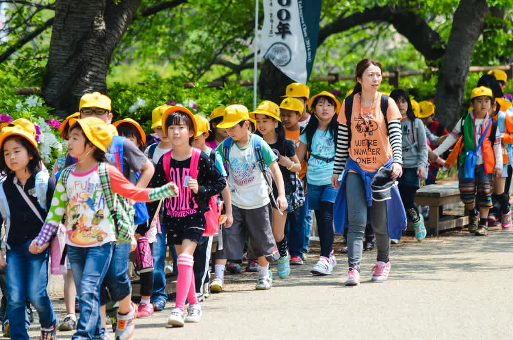 Autumn Harvest Tours