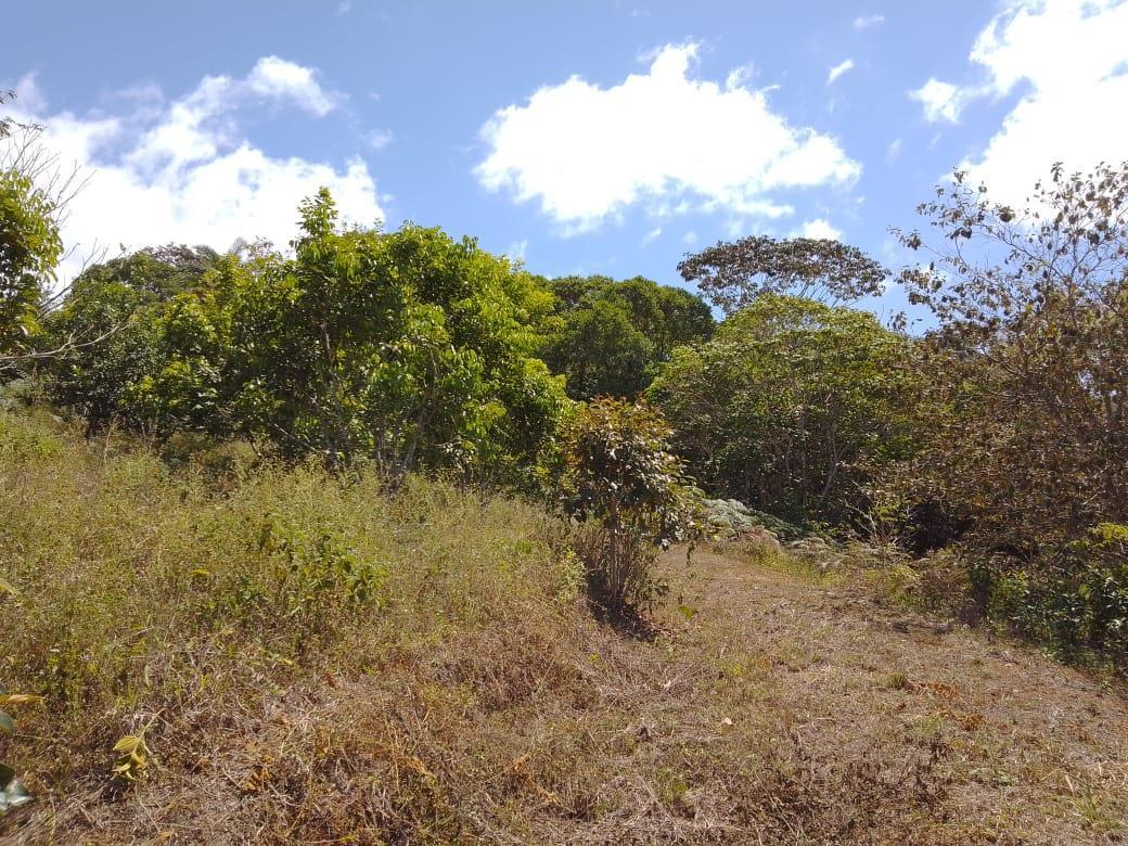 Mountain Fruit Farm Lagoon, Perez Zeledon, San Jose
