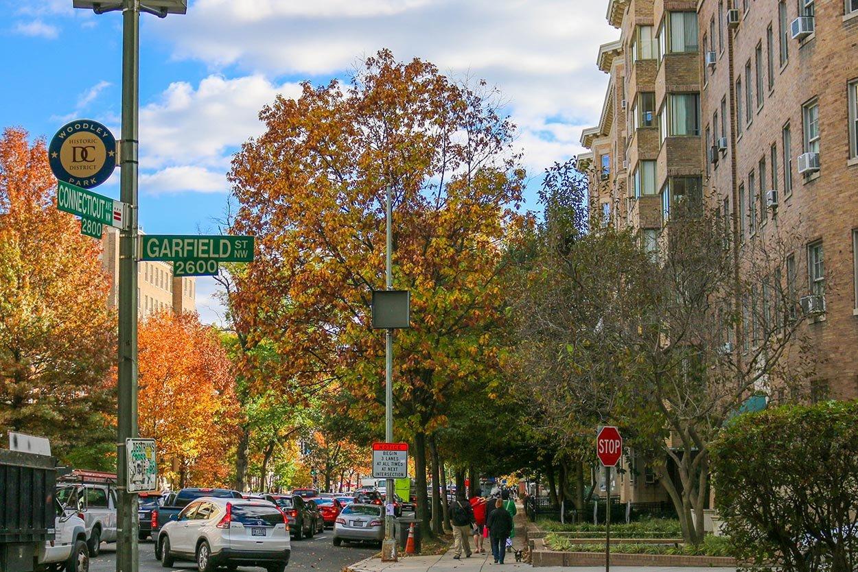 Woodley Park