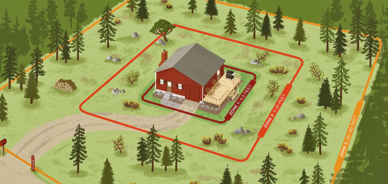 Rake This, Not That: A Mountain Homeowner's Fall Chore