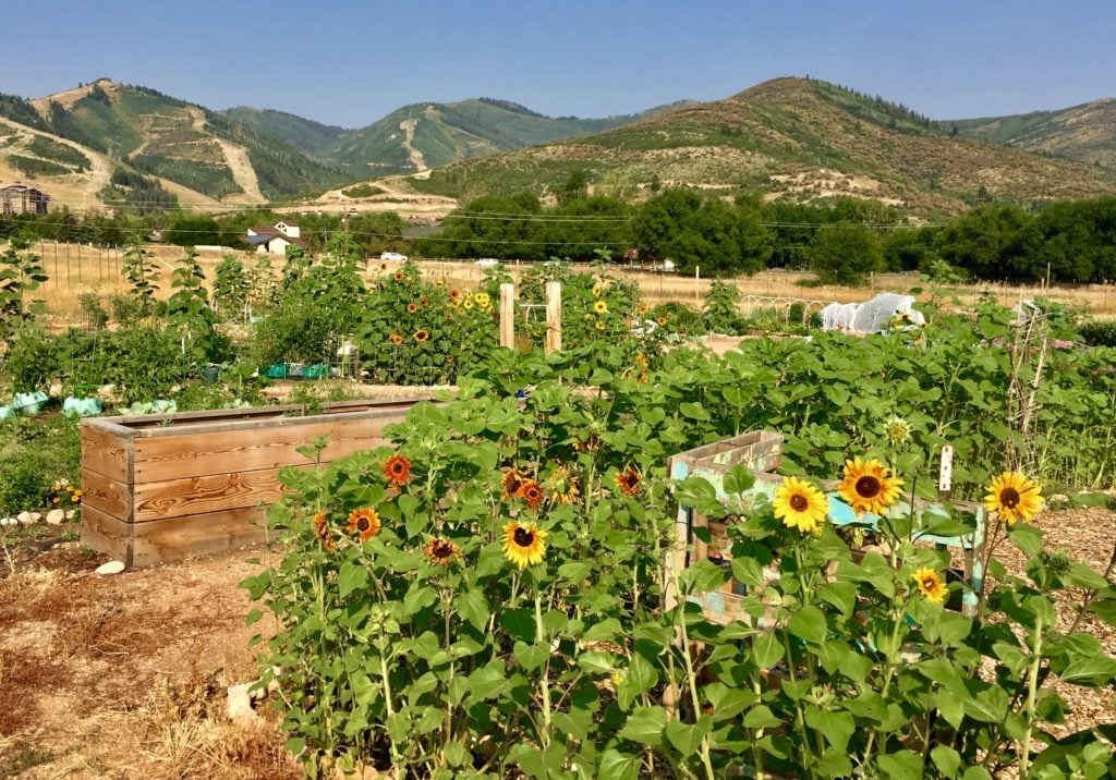 Park City Event Guide: May 3 – 9, 2019