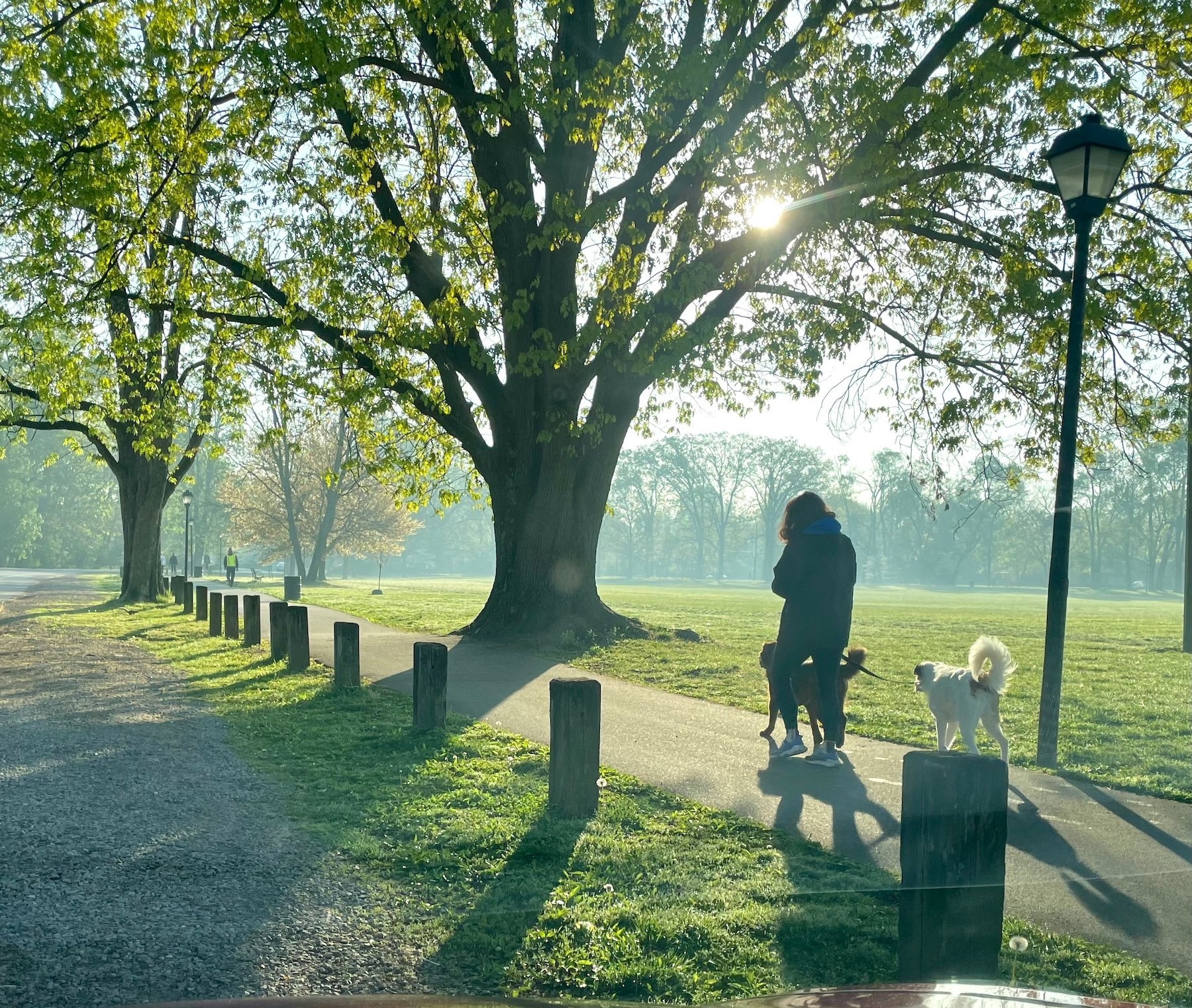 Top rated dog parks in Denver