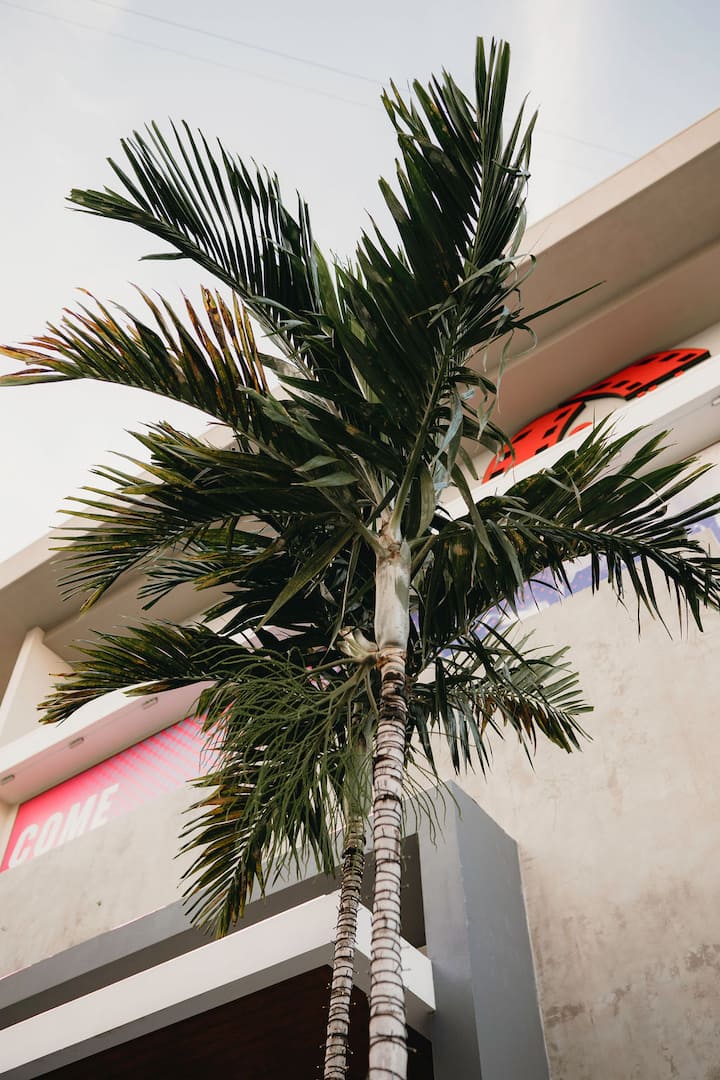 Casa Terra Porto #5 • Ground Floor • Walk to Beach - Airbnb