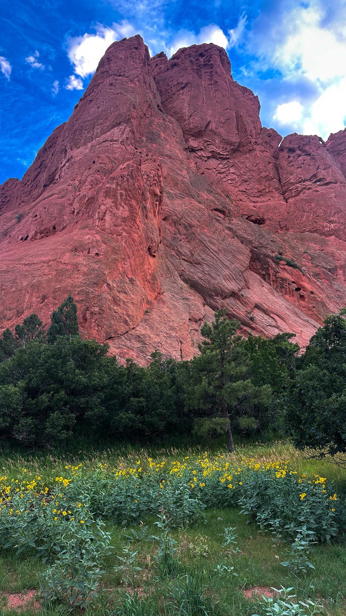 Garden of the Gods: Where Colorado Springs Comes Alive