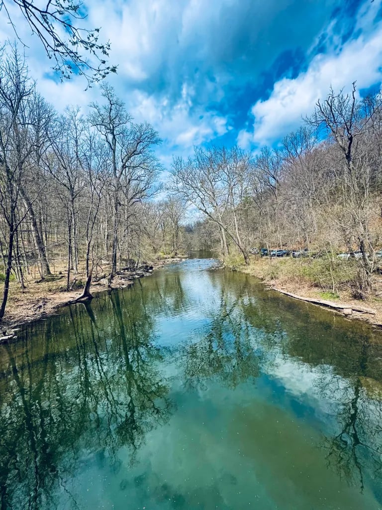 Discovering the Magic of Forbidden Drive in Philadelphia