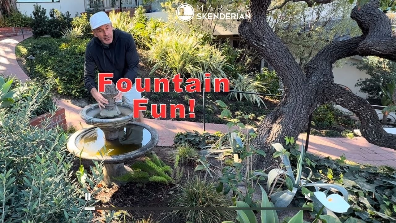 Fountain Fun: Improve Your Garden In Less Than 20 Minutes!