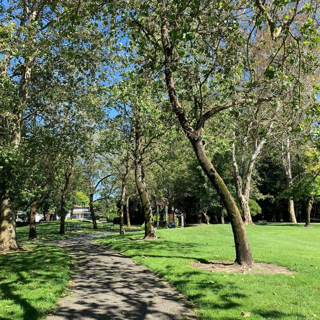 Dorotea Park in Rohnert Park with open green space and walking areas