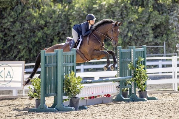 Where to Ride, Train, and Compete: The Complete Equestrian Guide to Westlake Village & Thousand Oaks, CA 