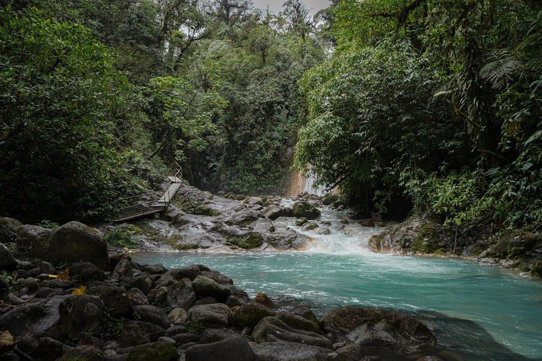 La Monarca