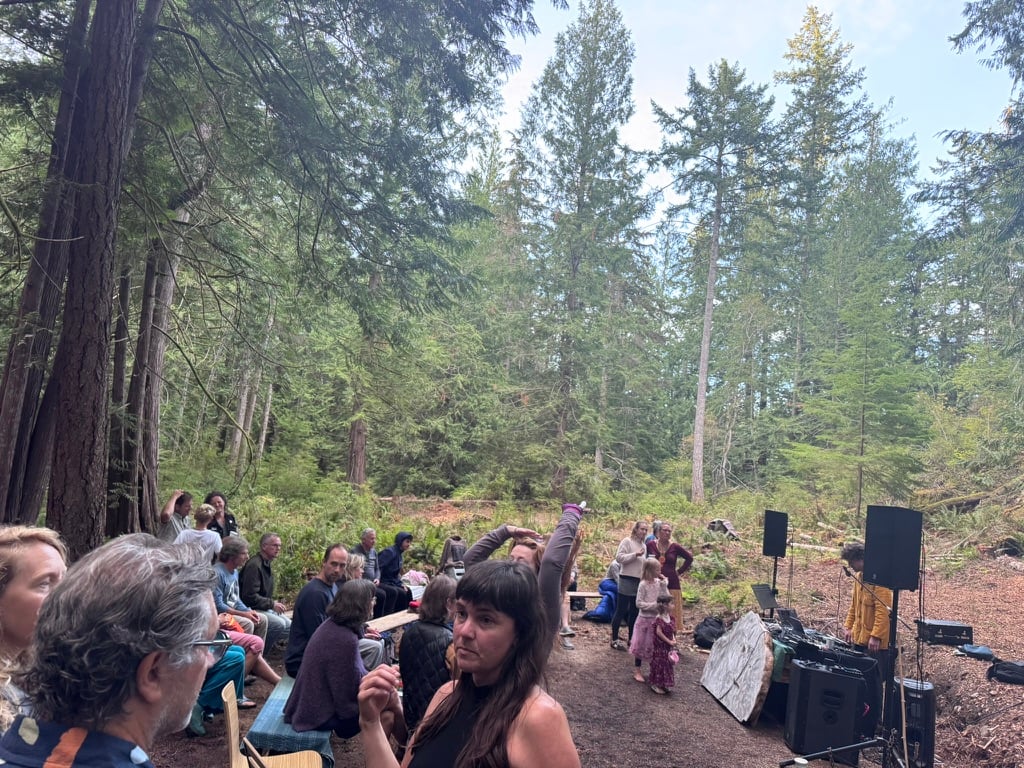 Recap of Summer 2025 Series at Ellingsen Woods