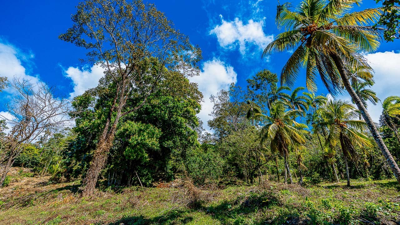 Whale Tail Views Luxury Waterfall Farm