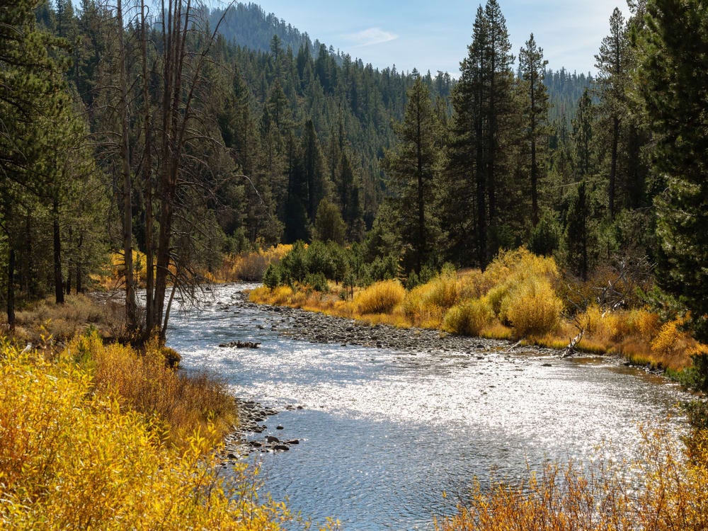 Fall Fishing on the Truckee River: A Hidden Gem for Every Truckee and Lake Tahoe Homeowner