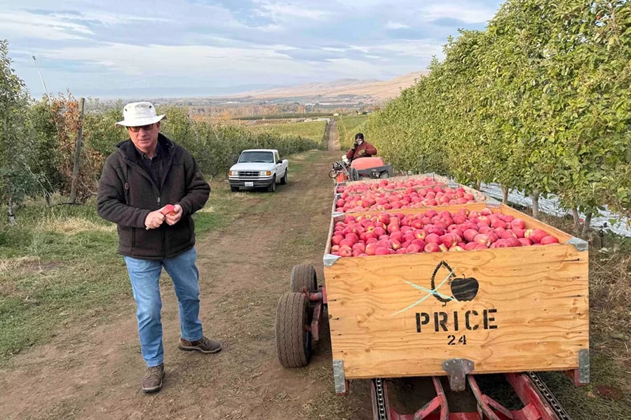 In Washington orchards, immigration crackdown sows fear and uncertainty