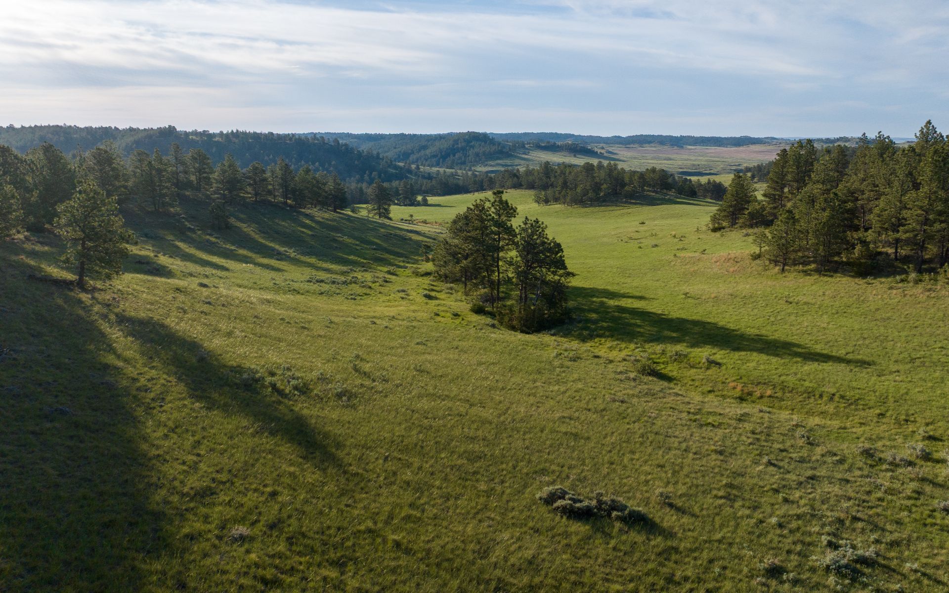 Elk Rich Ranch