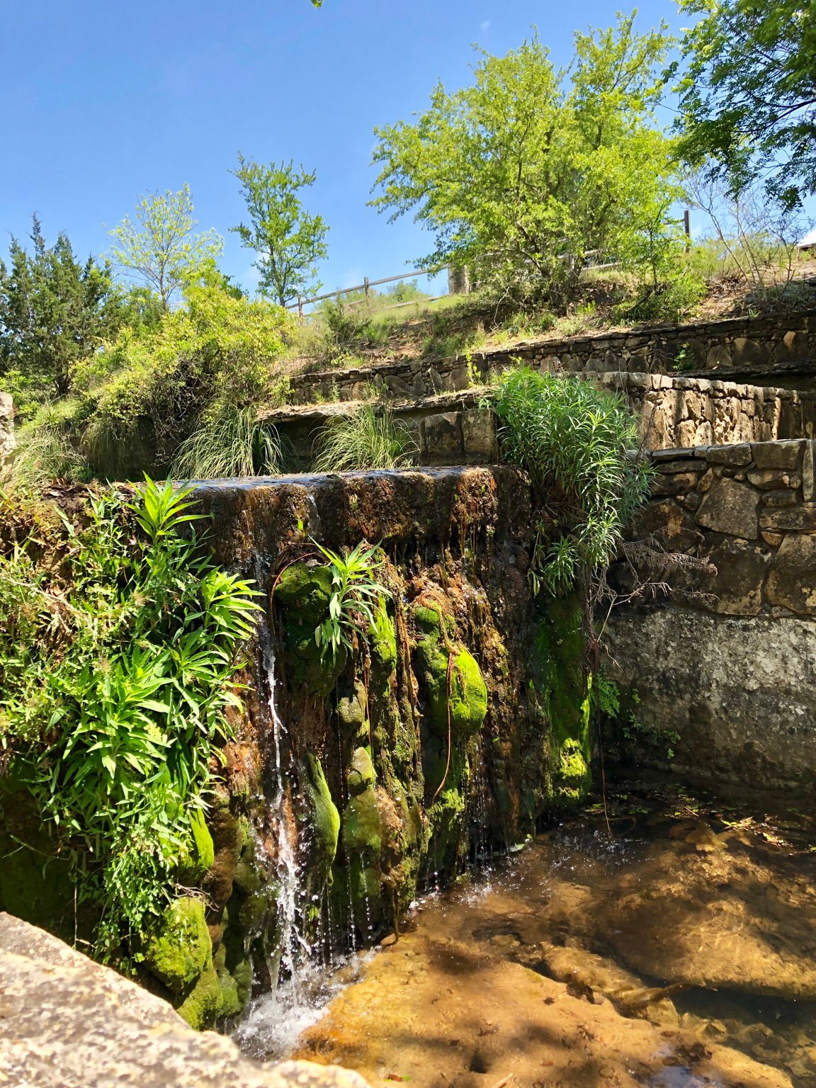 100 Dario Dr. Dripping Springs  Tx 78620