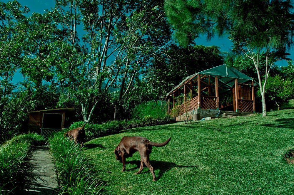 Spacious Property in San Antonio