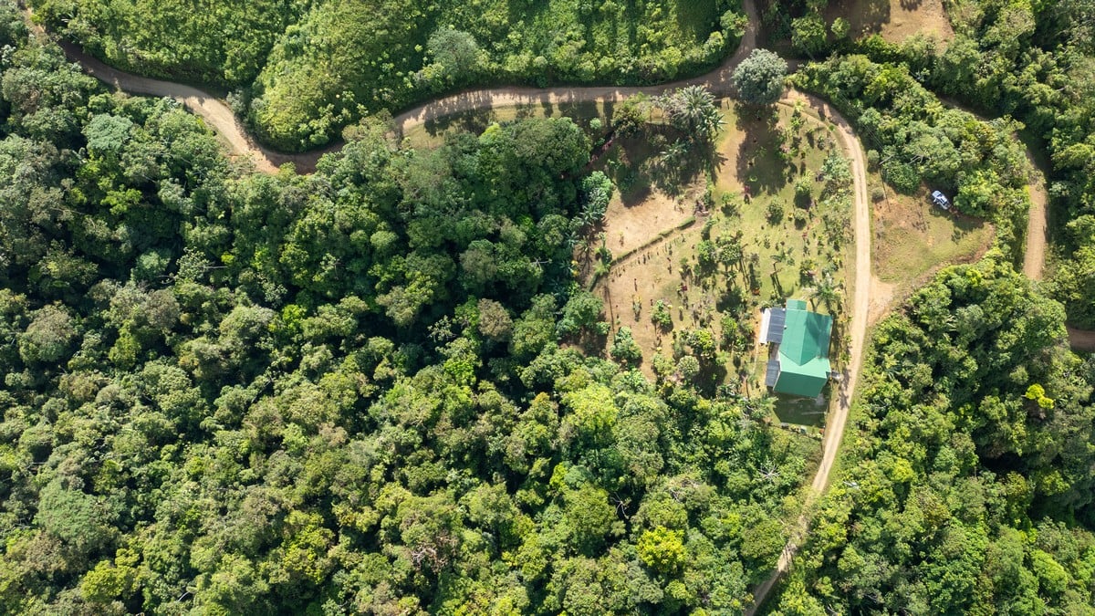 1.8 ACRES – 4 Bedroom Panoramic Ocean & Mountain View Paradise Home Tucked Away in Complete Privacy With Tropical Gardens & Fruit Trees!!!