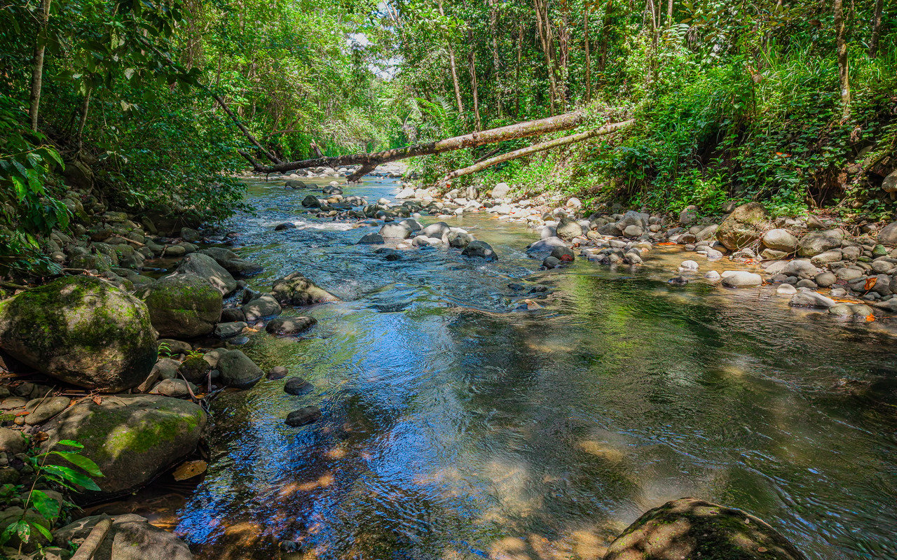 Unique Riverfront Home With Prime Location in Uvita