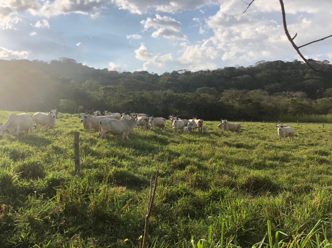 Rancho Montecito Atenas